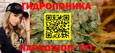 каннабис Сланцы