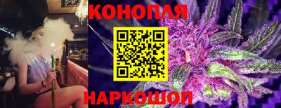 гидра Славгород