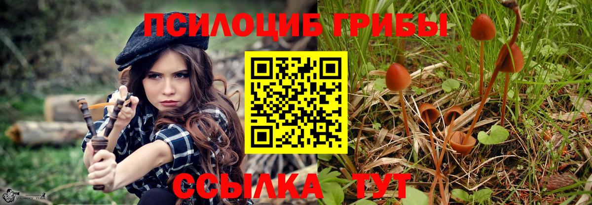 Галлюциногенные грибы ЛСД Обнинск